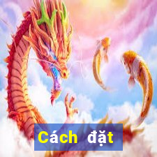 Cách đặt cược XSMB ngày 20