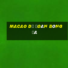 macao dự đoán bóng đá