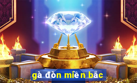 gà đòn miền bắc