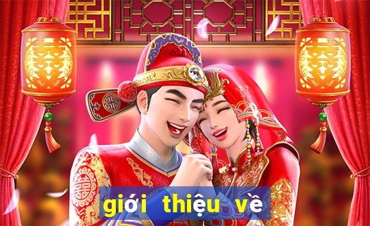 giới thiệu về bét tô ven