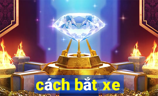 cách bắt xe