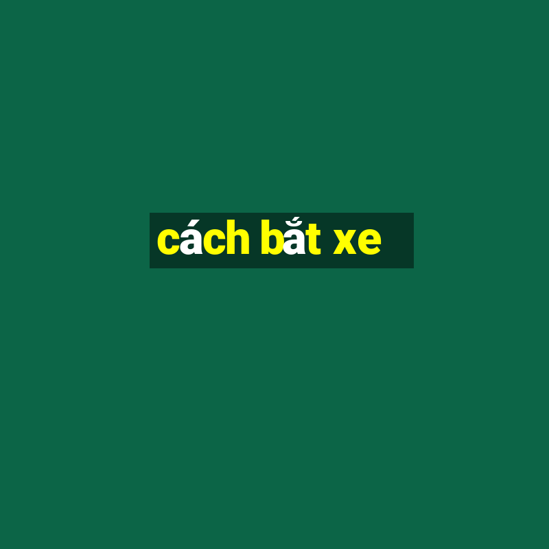 cách bắt xe