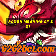 poker meaning of bet