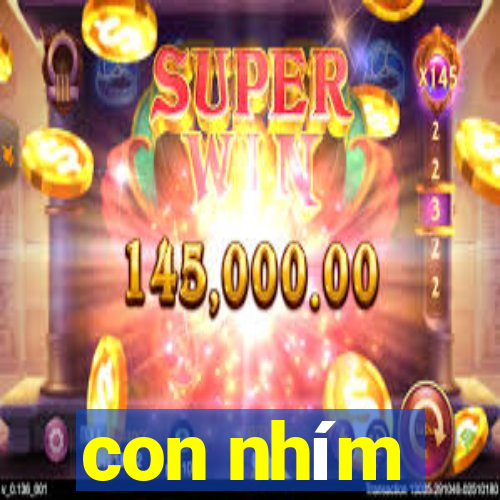 con nhím