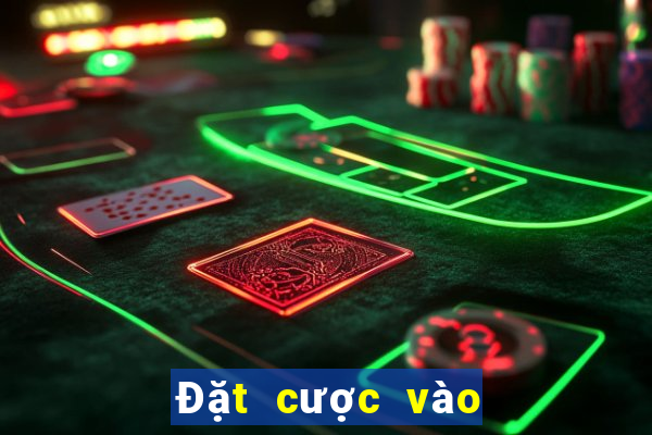 Đặt cược vào các sự kiện bóng rổ