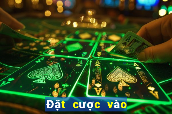 Đặt cược vào các sự kiện bóng rổ