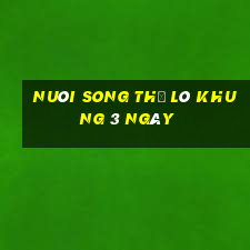 nuôi song thủ lô khung 3 ngày