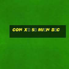 con xổ số miền bắc