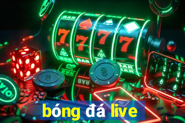 bóng đá live