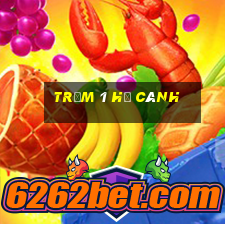 Trạm 1 hạ cánh