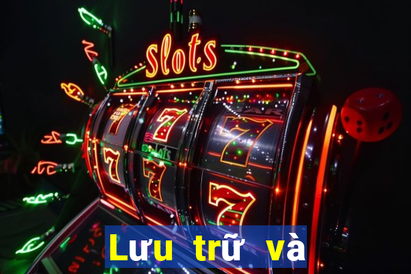 Lưu trữ và cung cấp mạng