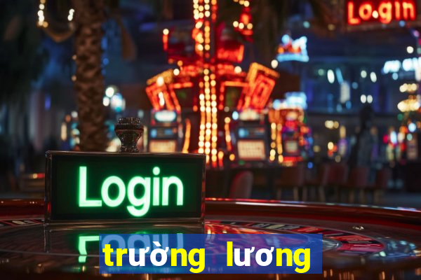 trường lương thế vinh quận 7