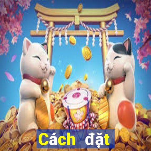 Cách đặt cược XSDNO ngày 2