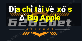 Địa chỉ tải về xổ số Big Apple