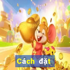 Cách đặt cược XSTT4 Thứ 6