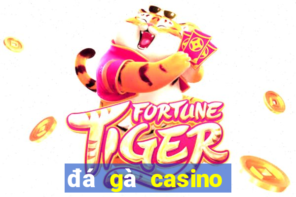 đá gà casino mới nhất