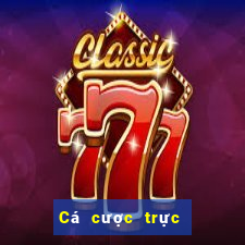 Cá cược trực tuyến 8jbet