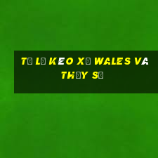 tỷ lệ kèo xứ wales và thụy sĩ