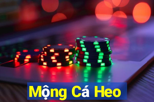 Mộng Cá Heo