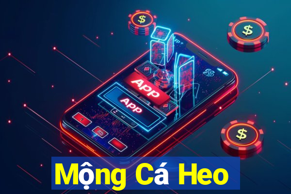 Mộng Cá Heo