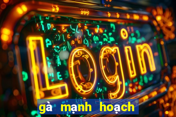 gà mạnh hoạch từ sơn