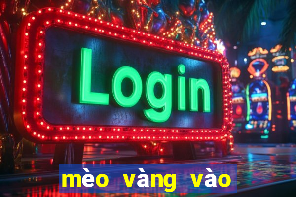 mèo vàng vào nhà có điềm gì