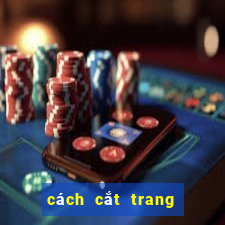 cách cắt trang bóng 88