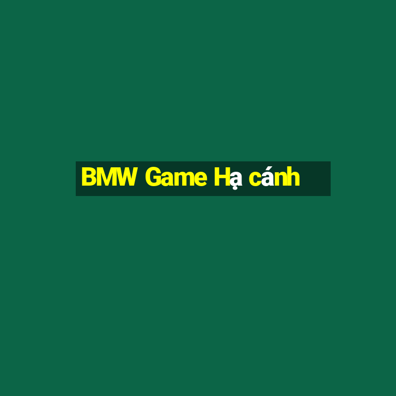 BMW Game Hạ cánh