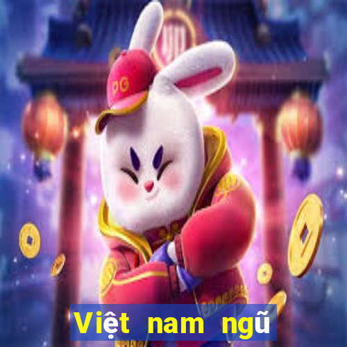 Việt nam ngũ phân xổ số