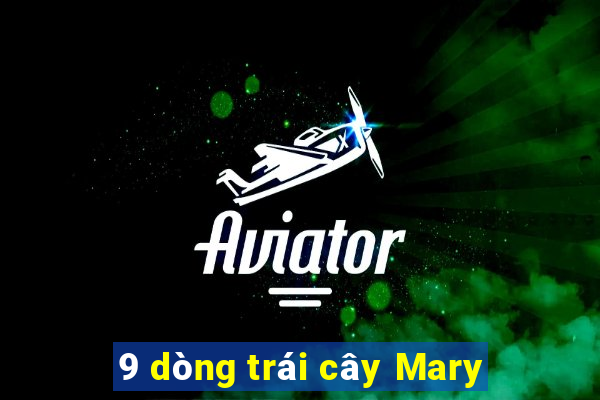 9 dòng trái cây Mary