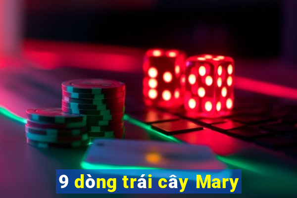 9 dòng trái cây Mary