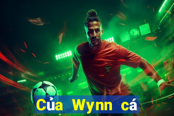 Của Wynn cá cược Việt nam