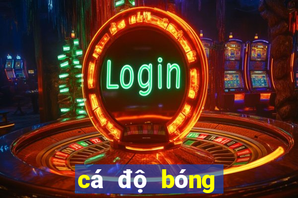 cá độ bóng đá tài xỉu là gì