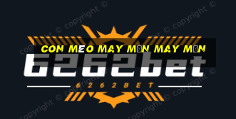 Con mèo may mắn may mắn