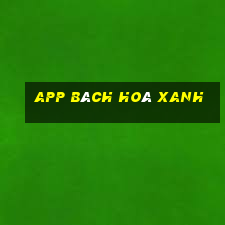 app bách hoá xanh