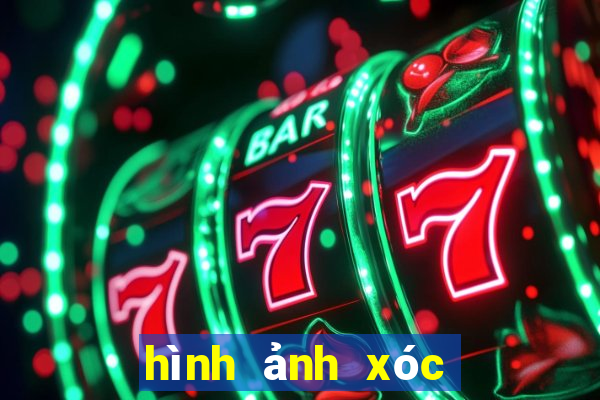 hình ảnh xóc đĩa cờ bạc