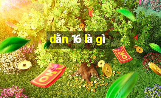 dằn 16 là gì