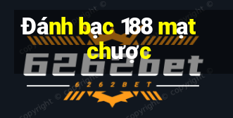 Đánh bạc 188 mạt chược