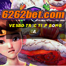 vesbo trực tiếp bóng đá