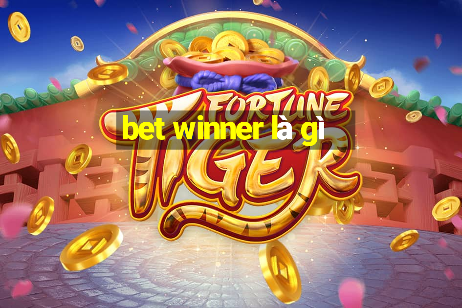 bet winner là gì