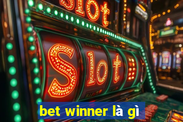 bet winner là gì