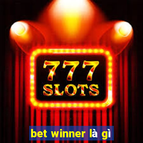 bet winner là gì