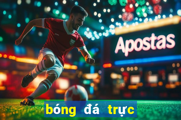 bóng đá trực tiếp xoilac 17