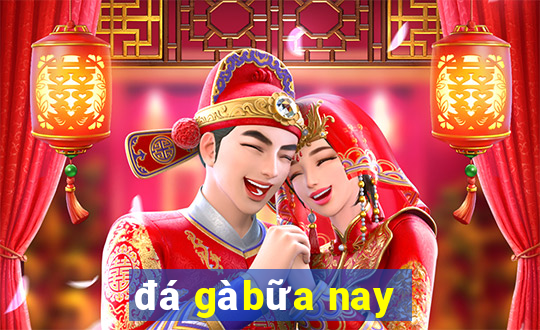 đá gà bữa nay