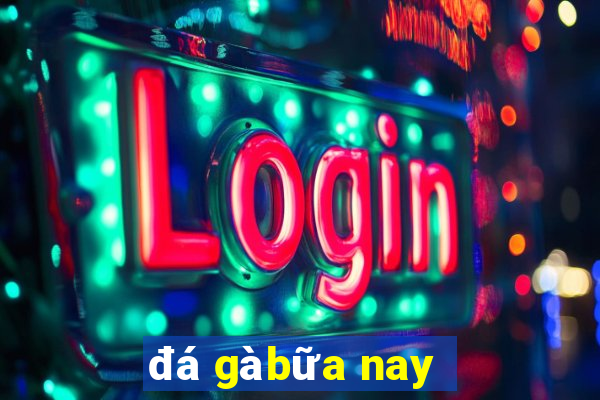 đá gà bữa nay