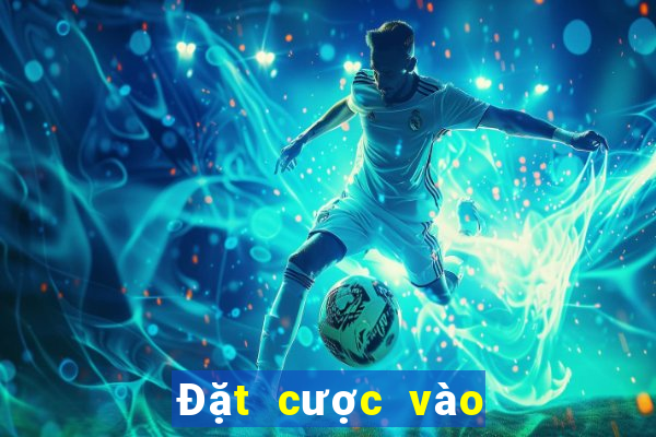 Đặt cược vào ba lượt tải về