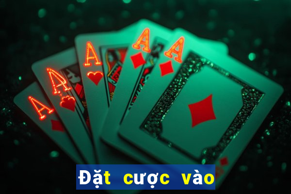 Đặt cược vào ba lượt tải về