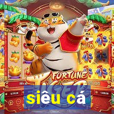 siêu cá