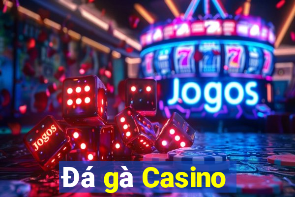 Đá gà Casino