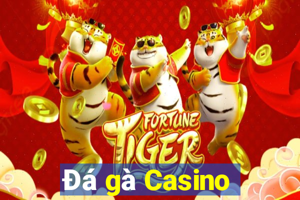 Đá gà Casino